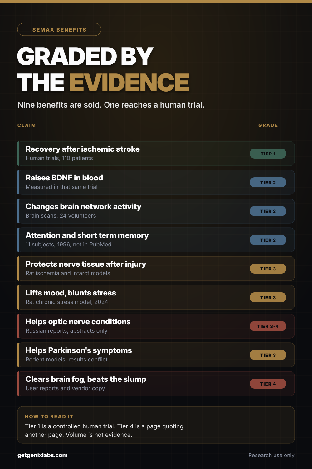 Semax benefits graded by evidence tier, a nine row chart showing only stroke recovery reaching a controlled human trial